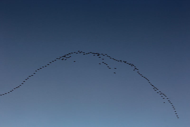 Featured image of post From Terraform to Azure Bicep: What You Need to Know about syntax